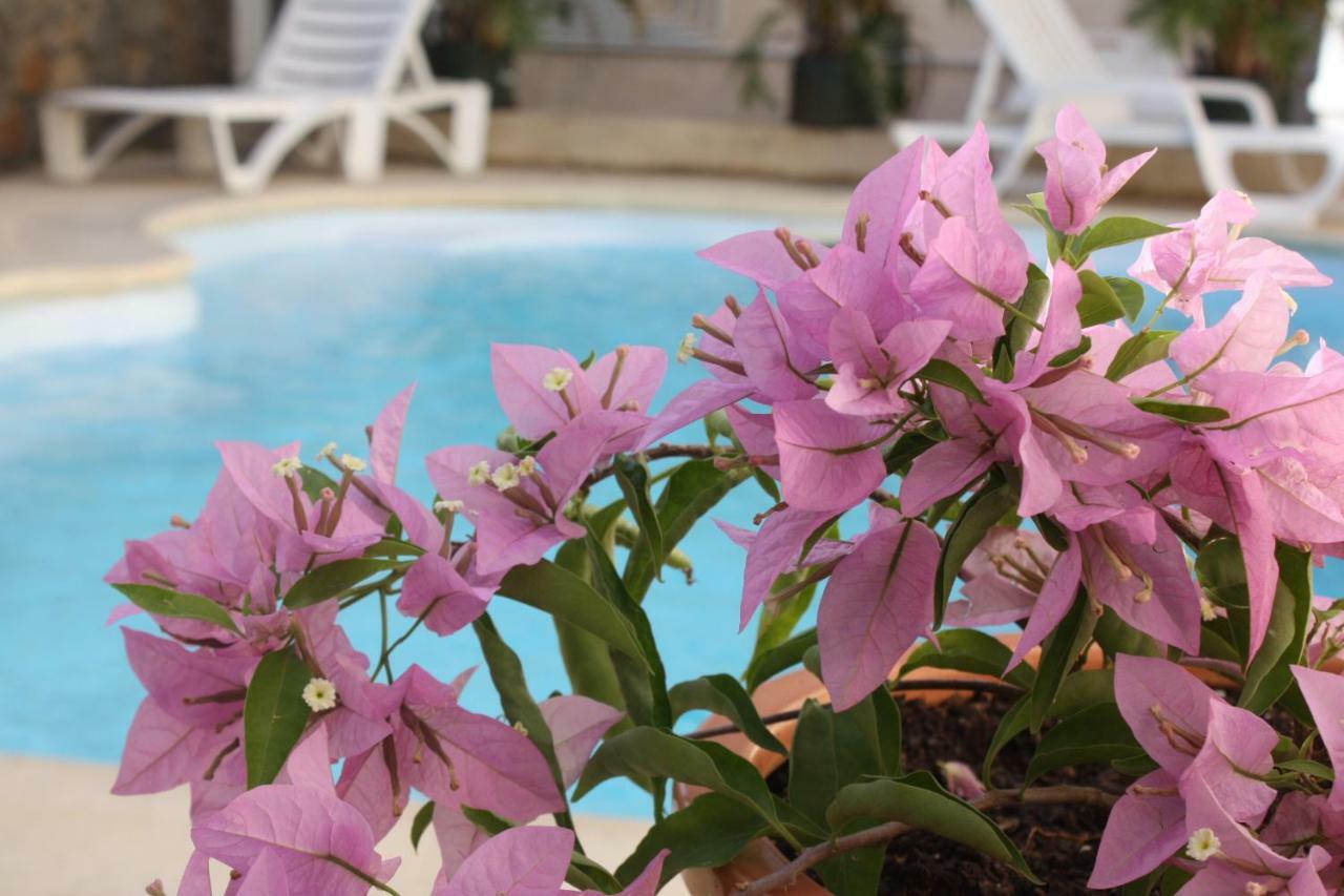 Residence Le Lotus Grand Bay Luaran gambar